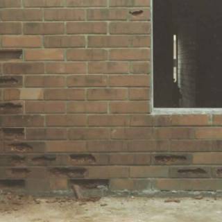 rp10_earthquakes_2.jpg