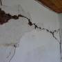 rp114_earthquakes_3.jpg