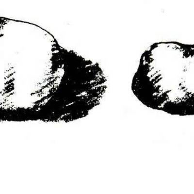 rp114_features_8.jpg