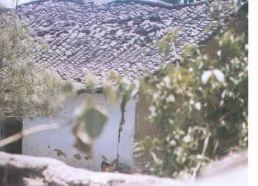 rp116_earthquakes_4.jpg
