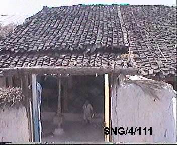 rp116_earthquakes_9.jpg