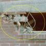 rp12_earthquakes_2.jpg