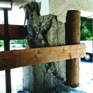 rp13_earthquakes_5.jpg