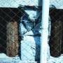 rp13_earthquakes_6.jpg
