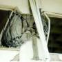 rp15_earthquakes_4.jpg