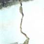 rp21_earthquakes_3.jpg