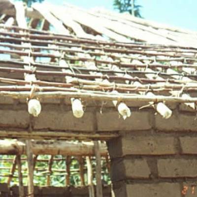rp46_earthquakes_1.jpg