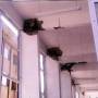 rp64_earthquakes_10.jpg