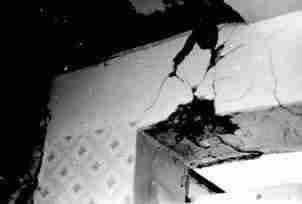 rp66_earthquakes_1.jpg