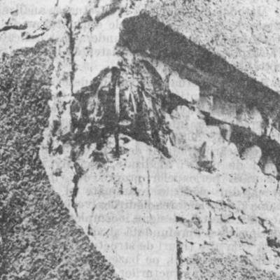 rp78_earthquakes_5.jpg