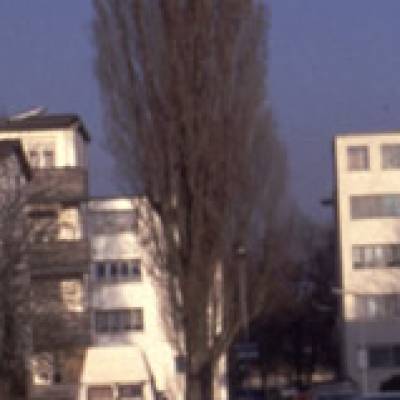 rp95_general_info_7.jpg