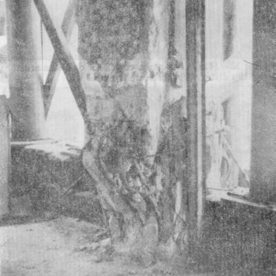 rp96_earthquakes_2.jpg
