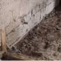 rp146_earthquakes_14.jpg