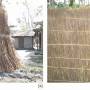 rp154_earthquakes_4.jpg